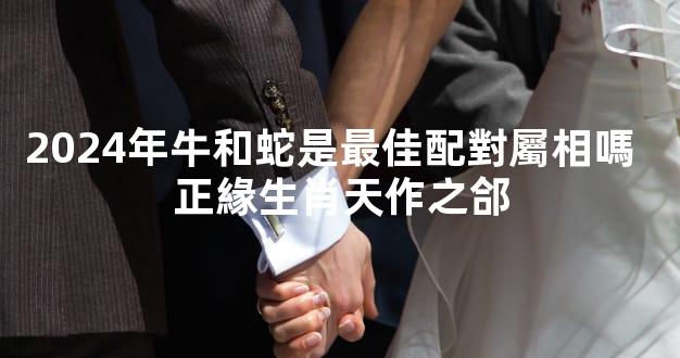 2024年牛和蛇是最佳配對屬相嗎  正緣生肖天作之郃